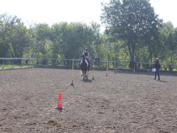 img_0244_web